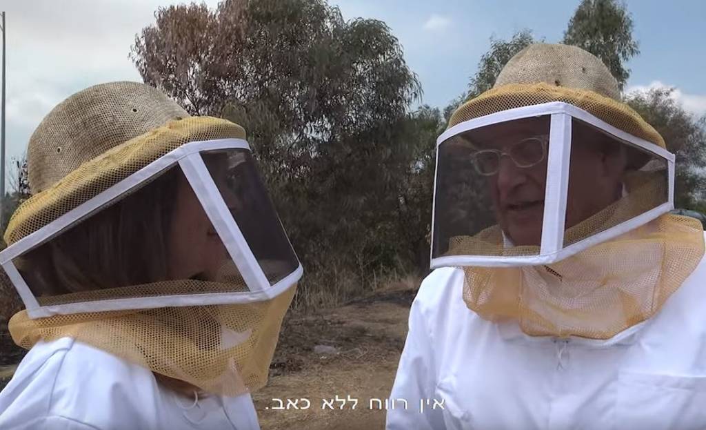 Israeli honey bees
