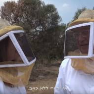 Israeli honey bees