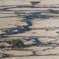 Oil spill in December 2014 in Israel’s Evrona Nature Reserveaa (Alexander Turovsky, Shutterstock)