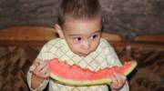 little boy eating watermelon