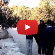 Jewish prayer on Temple Mount