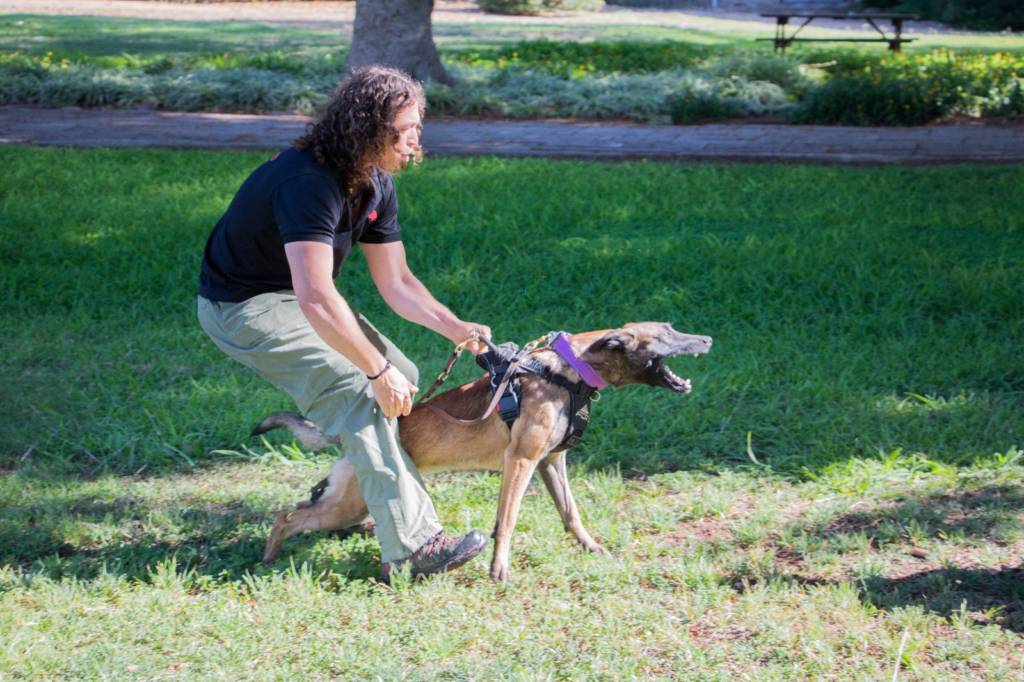 Israel Dog Unit Gush Etzion Commander Micha Katz (Courtesy)