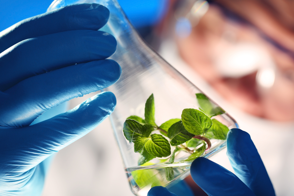 regenerative medicine from plants