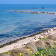 Israel's coastline (Shutterstock)