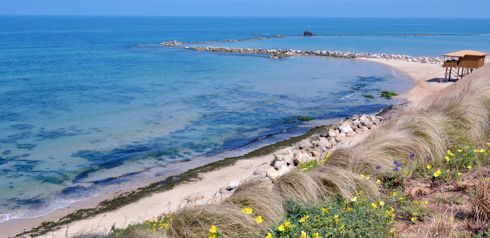 Israel's coastline (Shutterstock)