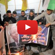 Palestinians burn pictures of Trump.