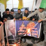 Palestinians burn pictures of Trump.