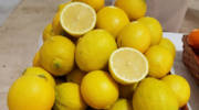 seedless Ayelet lemon