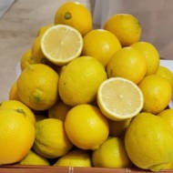 seedless Ayelet lemon