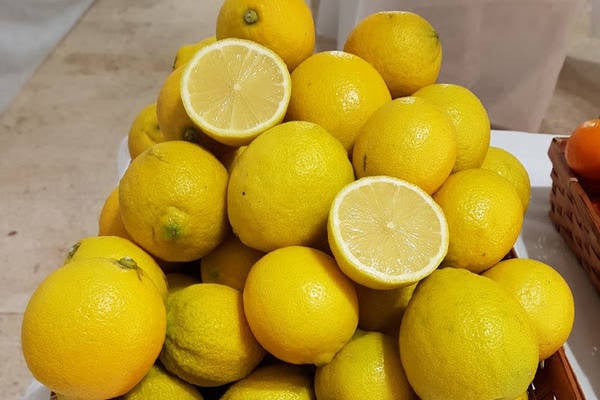 seedless Ayelet lemon