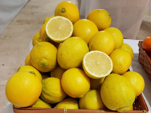 seedless Ayelet lemon