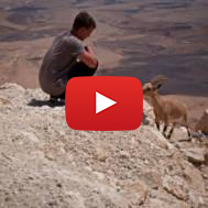 Israeli wildlife