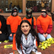 Tufts University's Students for Justice in Palestine group