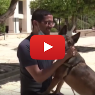 Guy Nizan reunites with his dog