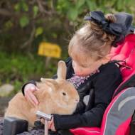 Special needs child holds rabbit