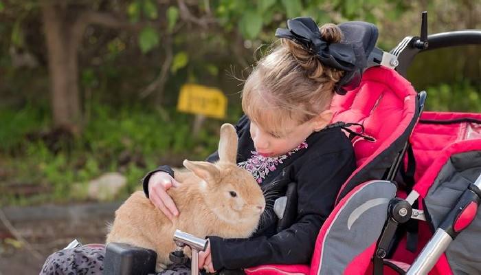 Special needs child holds rabbit