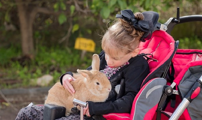 Special needs child holds rabbit