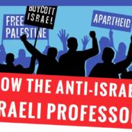 know the anti-israel professor website