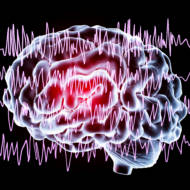 epilepsy seizure