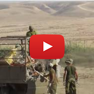 IDF Soldiers