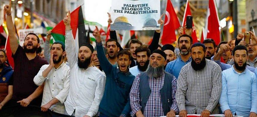 Palestinian rotesters in Turkey demonstrate against the Trump administration's “Peace to Prosperity” conference and Mideast peace plan in Bahrain