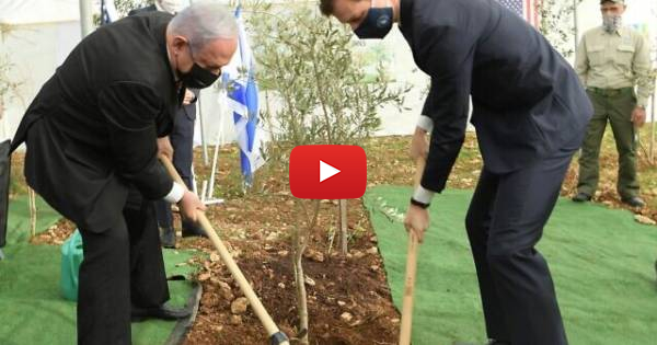 WATCH: Netanyahu, Kushner Plant Olive Trees in Grove of Nations, Expressing Desire for Peace - Vimarsana News
