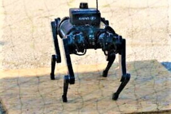 Rafael Robotic Dog