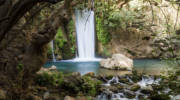 Banias