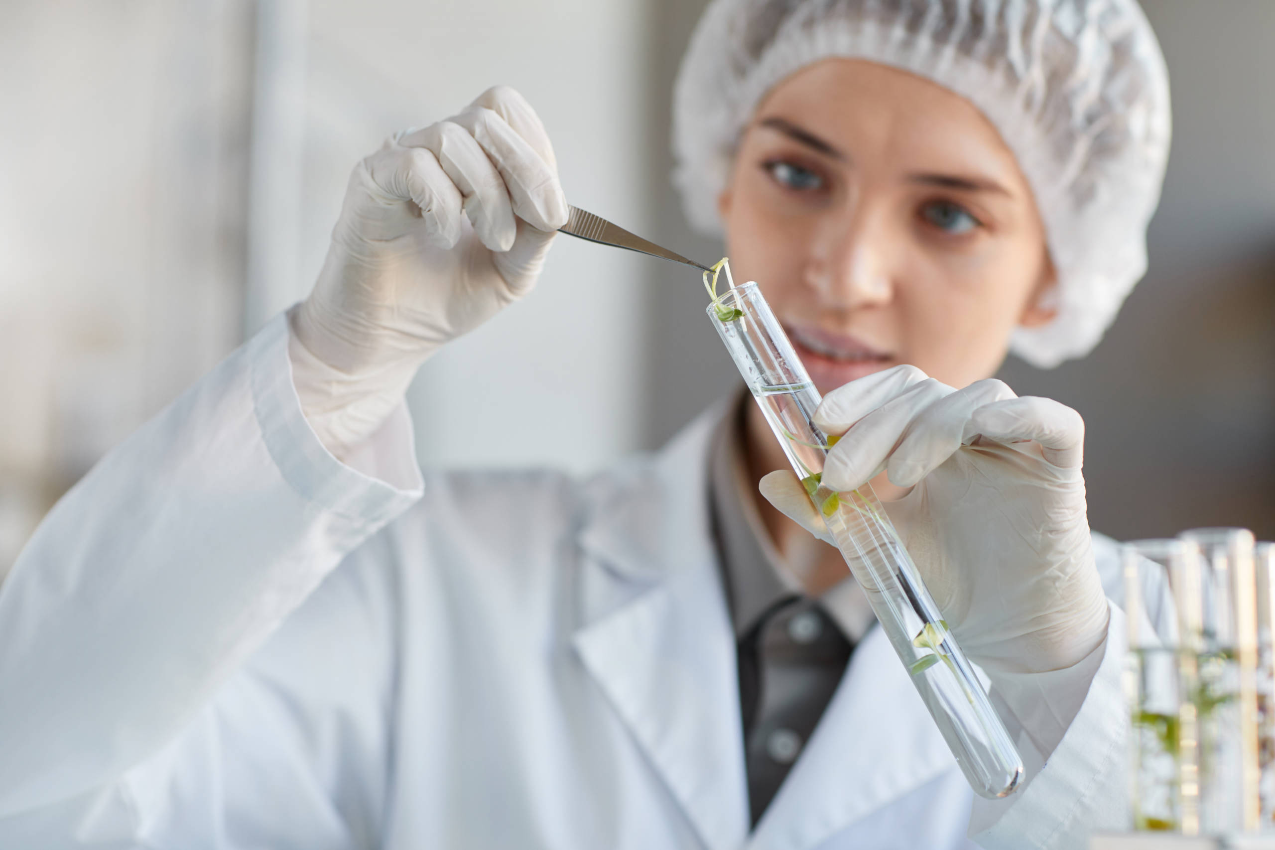 Breakthrough: Israeli Research Team Pioneers Revolutionary Technology in Plant Cloning - Vimarsana News
