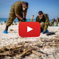 IDF Soldiers Oil Spill