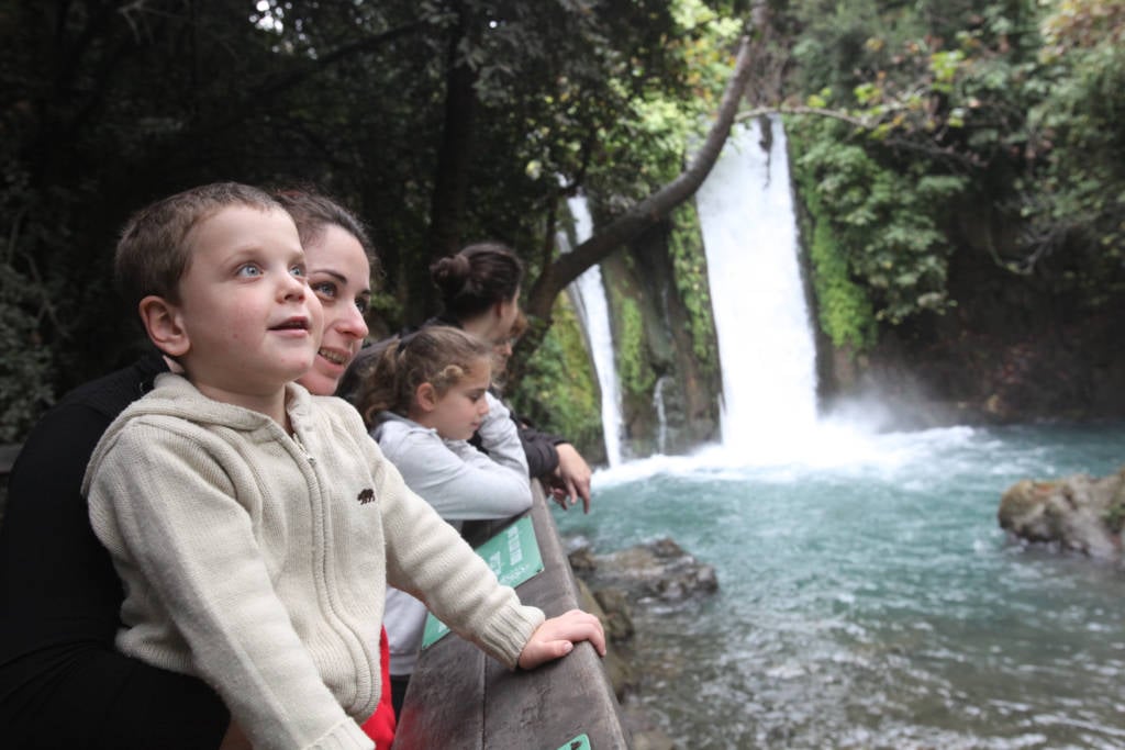 Banias springs