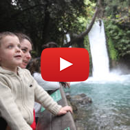 Banias springs