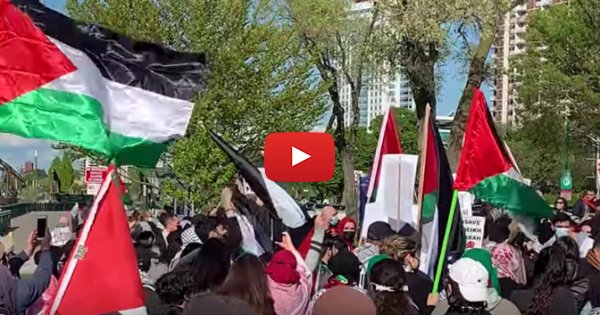 Anti-Israel protesters in Canada