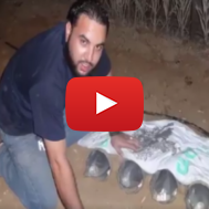 Hamas terrorist burying rockets