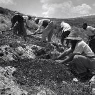Early pioneers Gilboa