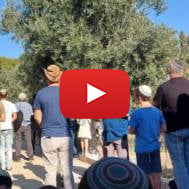 Jews on Temple Mount Tisha b'Av