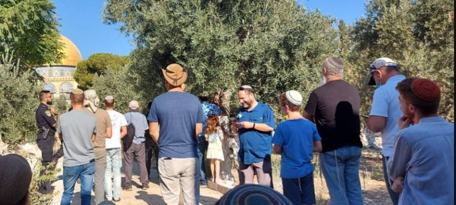 Jews on Temple Mount Tisha b'Av