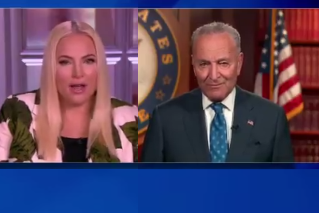 Meghan McCain (L) and Senate Majority Leader Chuck Schumer