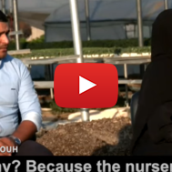Palestinian Farmer and Nursery Owner