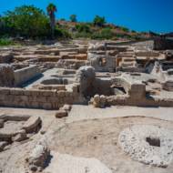 Byzantine-era winepress discovered in Yavne