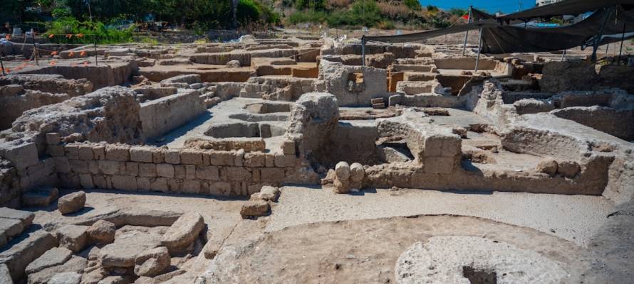 Byzantine-era winepress discovered in Yavne