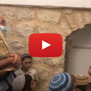 New Torah Scroll in Shiloach