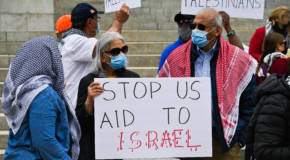 anti-israel protesters