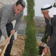 Palestinian tree planting