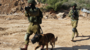 IDF Canine Unit