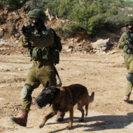 IDF Canine Unit