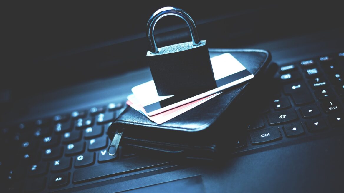 Outsmarting the Hackers: Israeli Techies Make Online Shopping, Banking Safer - Vimarsana News