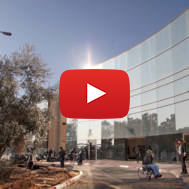 Sheba hospital