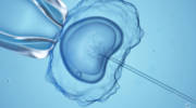 IVF