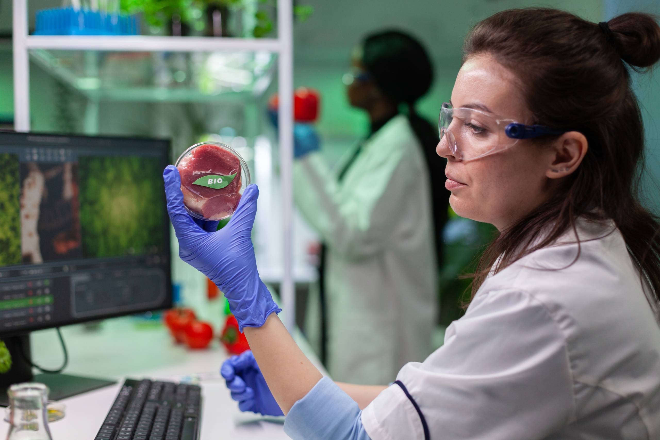 Israeli Researchers Use Tobacco to Create Lab-Grown Meat - Vimarsana News
